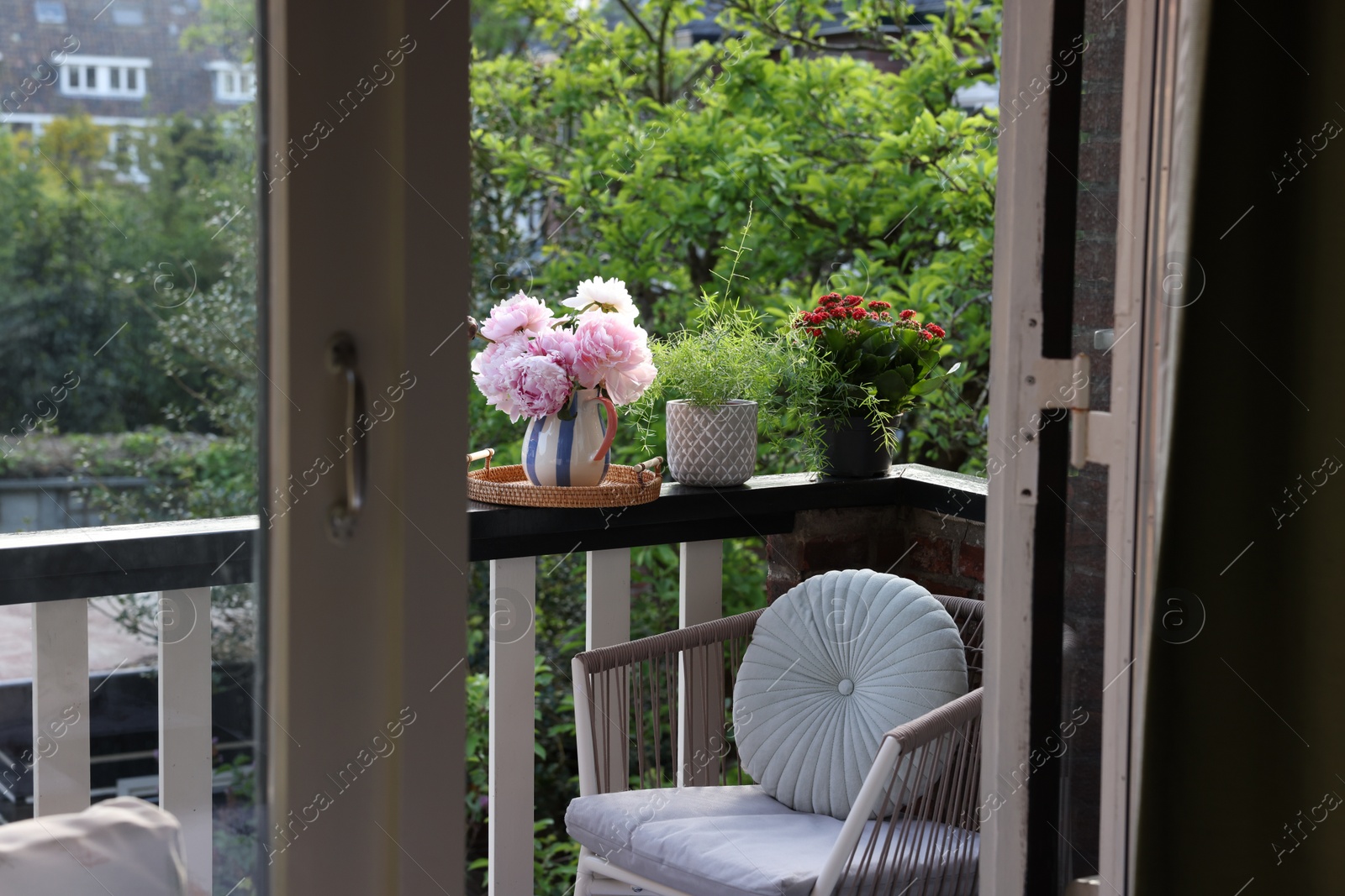 Photo of Different plants on railings and chair at cozy balcony outdoors