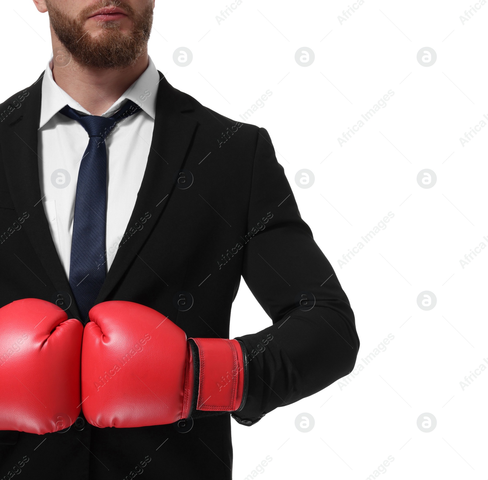 Photo of Businessman in suit wearing boxing gloves on white background, closeup