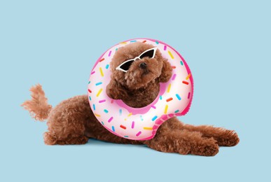 Image of Cute Maltipoo dog with stylish sunglasses and swim ring lying on light blue background