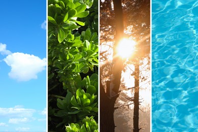 Collage with photos of water, green plants, blue sky and sun. Beautiful nature 