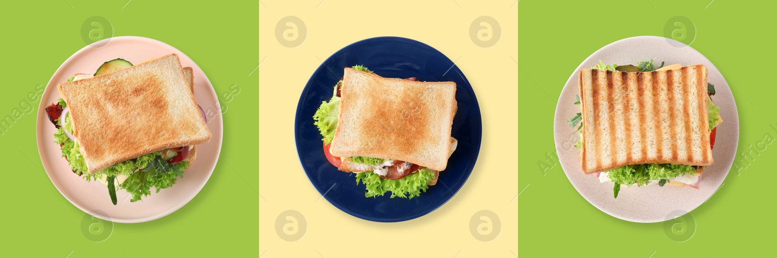 Image of Set of different yummy sandwiches on color background, top view. Banner design 