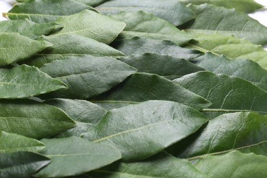 Many fresh bay leaves on white background, closeup