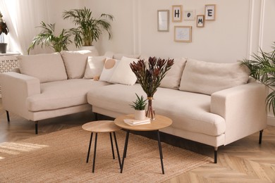 Photo of Stylish living room with comfortable sofa and beautiful houseplants