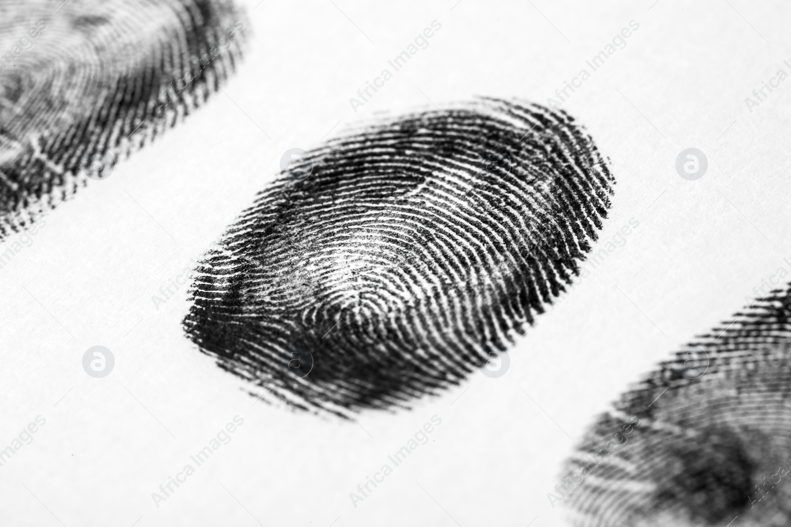 Photo of Black fingerprint on white background. Friction ridge pattern