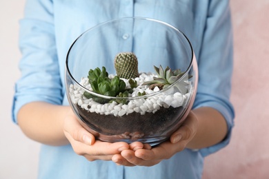 Young woman holding florarium with different succulents on color background, closeup