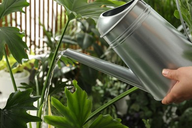 Photo of Woman watering beautiful house plant from can, closeup