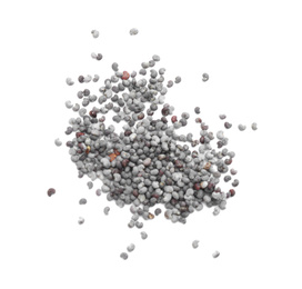 Photo of Pile of poppy seeds on white background