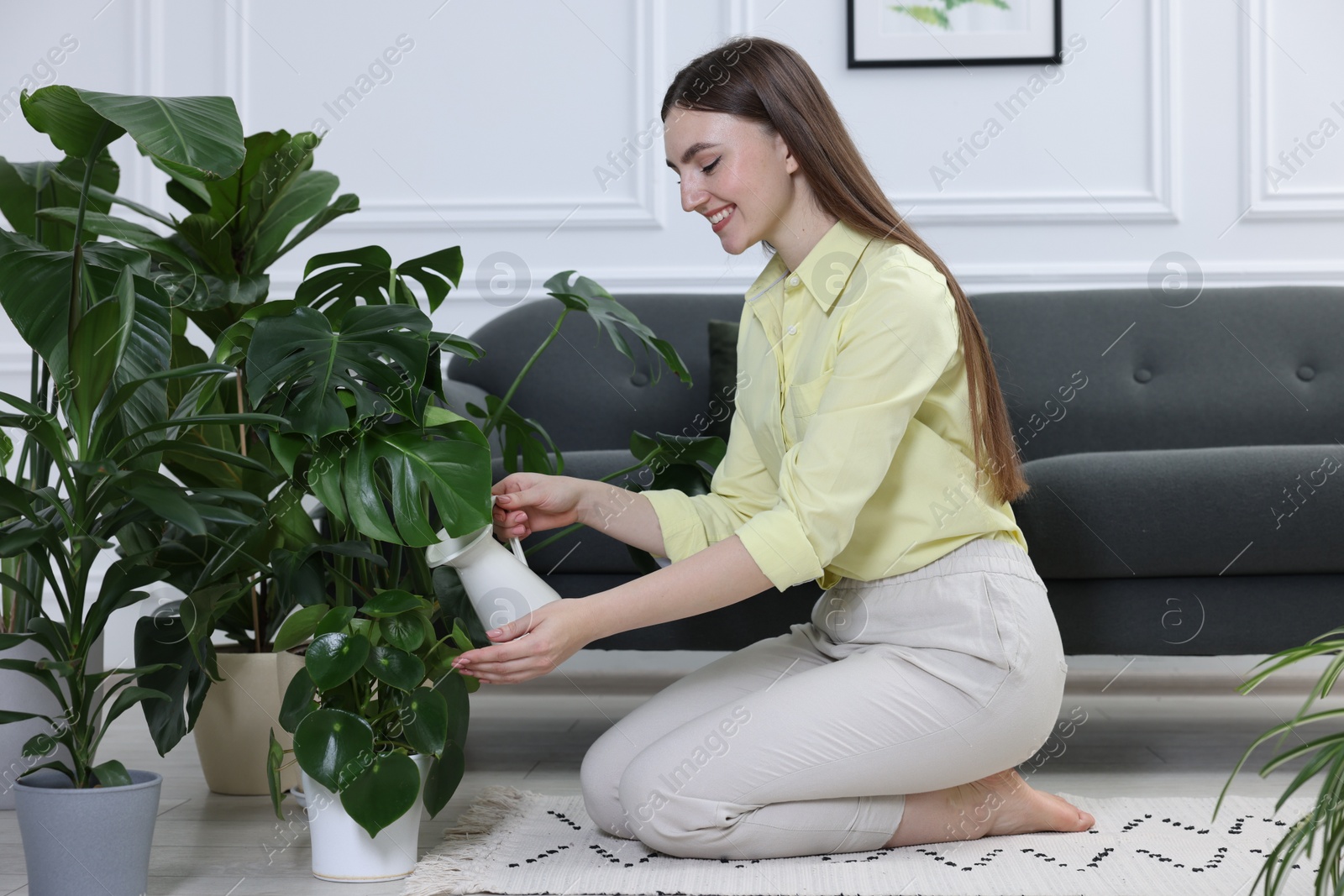 Photo of Beautiful young woman watering green potted houseplants at home