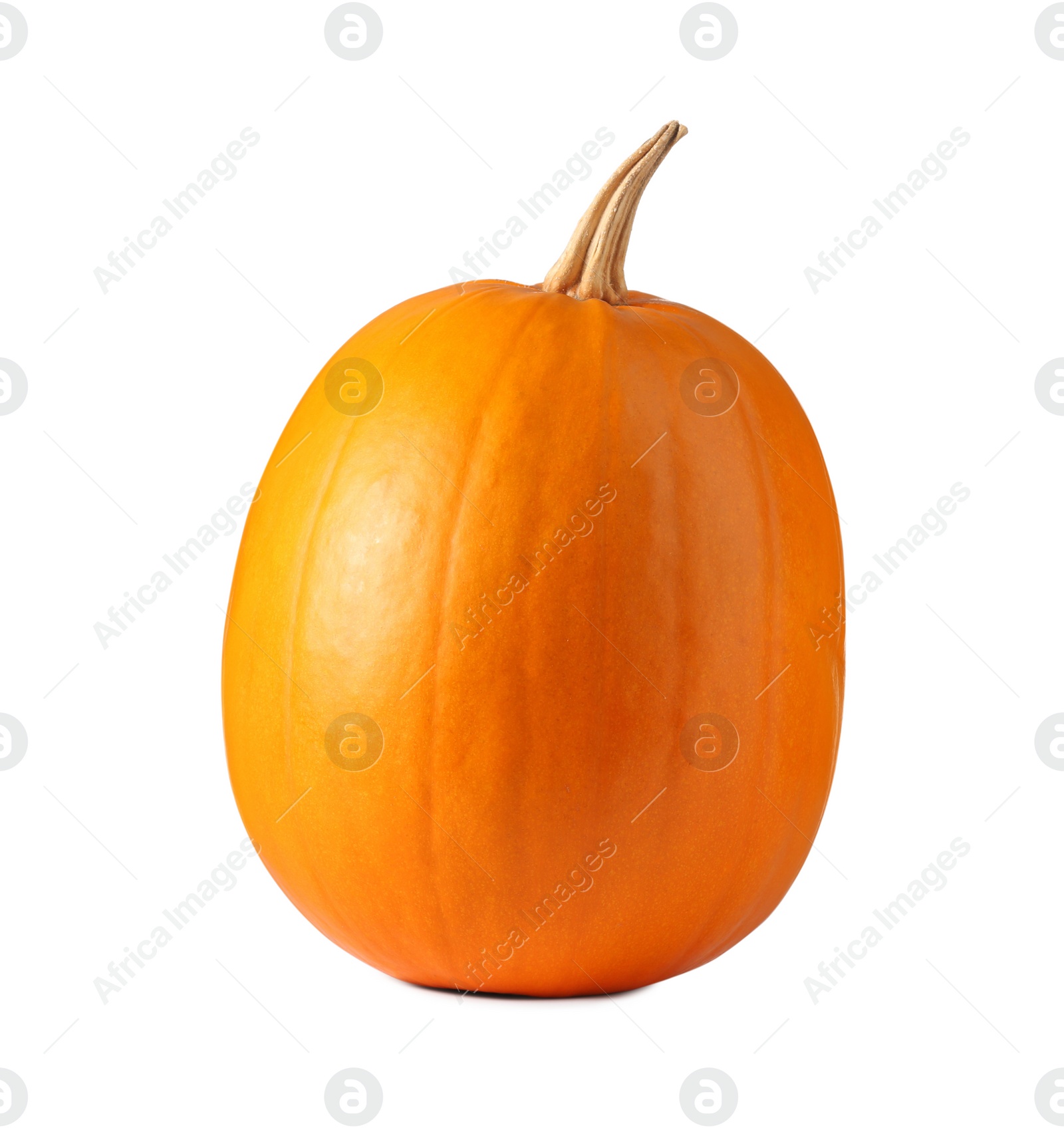 Photo of One fresh orange pumpkin isolated on white