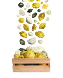 Fresh ripe pattypan squashes falling into wooden crate on white background 