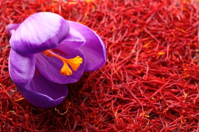 Photo of Beautiful crocus flower on dried saffron, closeup. Space for text