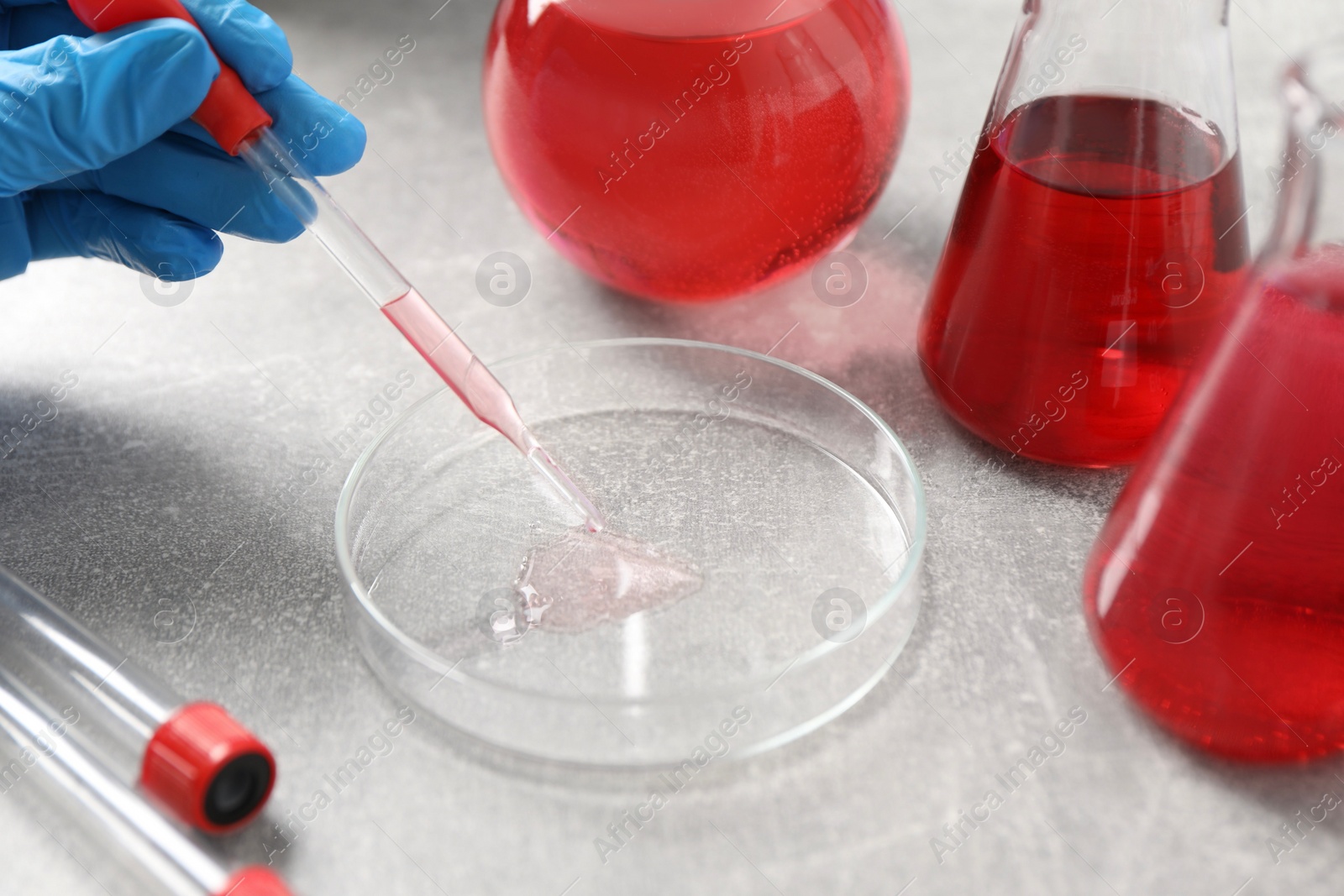 Photo of Laboratory analysis. Dripping red liquid into Petri dish on light grey table, closeup