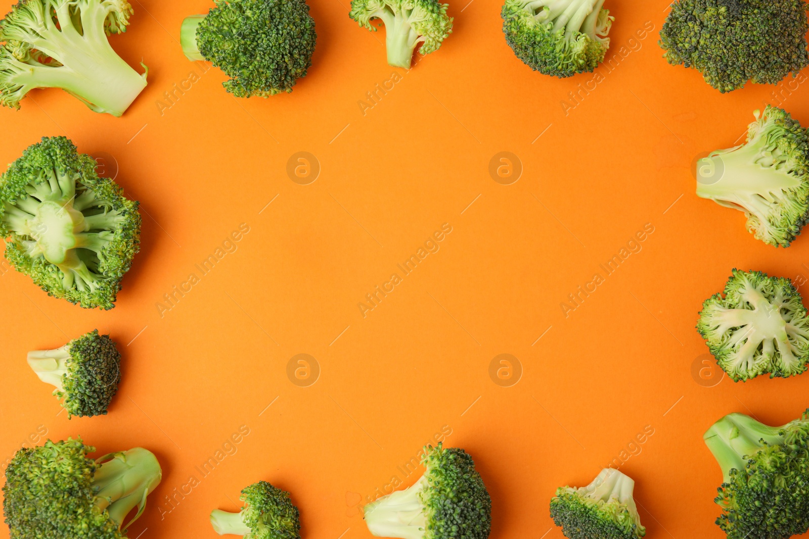 Frame made with fresh green broccoli on color background, flat lay. Space for text Photo of Frame made with fresh green broccoli on color background, flat lay. Space for text