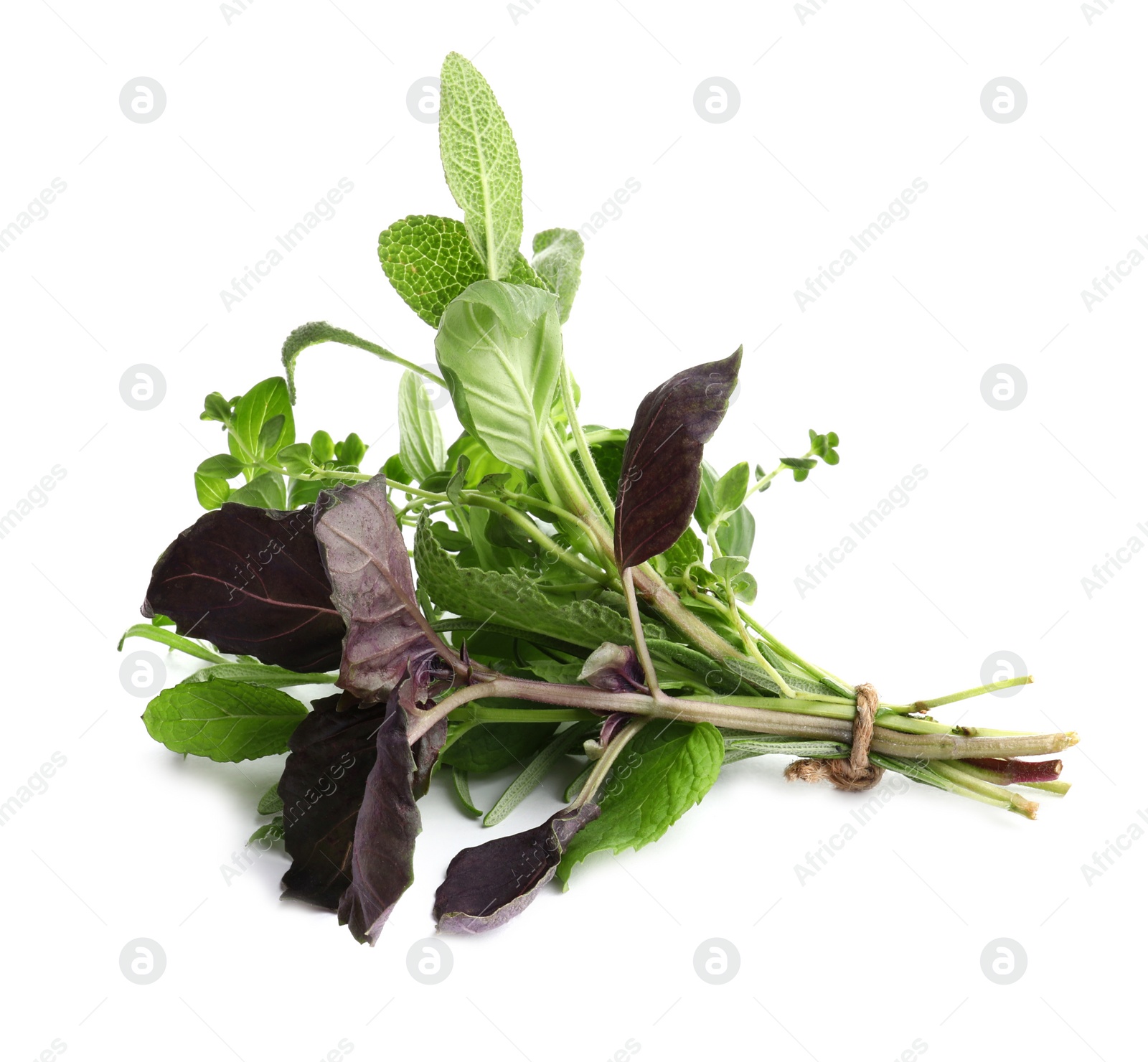 Photo of Bunch of fresh aromatic herbs on white background