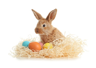 Adorable furry Easter bunny with decorative straw and dyed eggs on white background