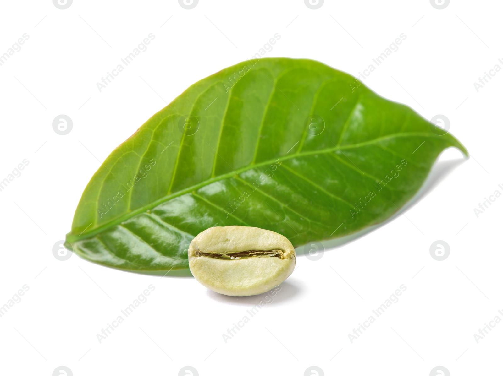 Photo of Green coffee bean and fresh leaf on white background