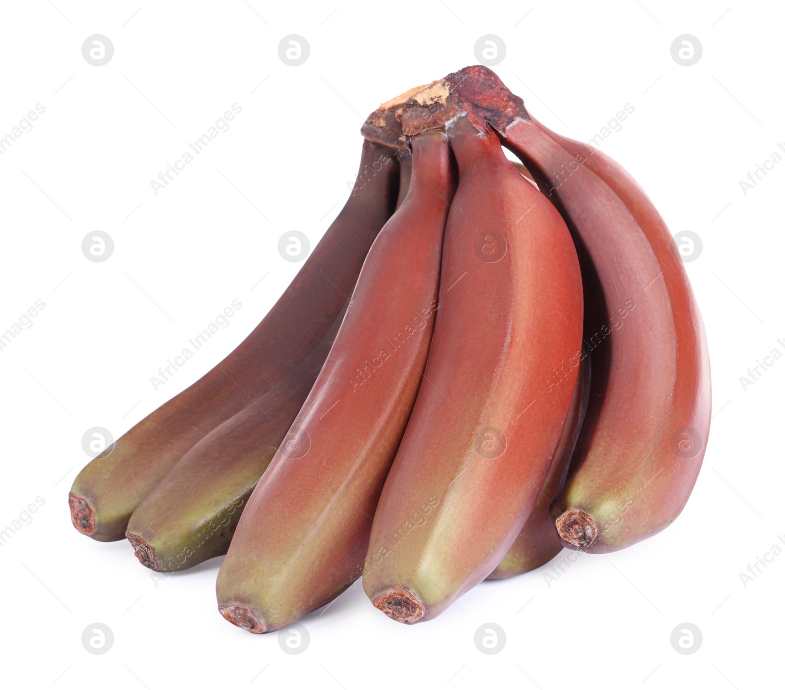 Photo of Delicious red baby bananas on white background