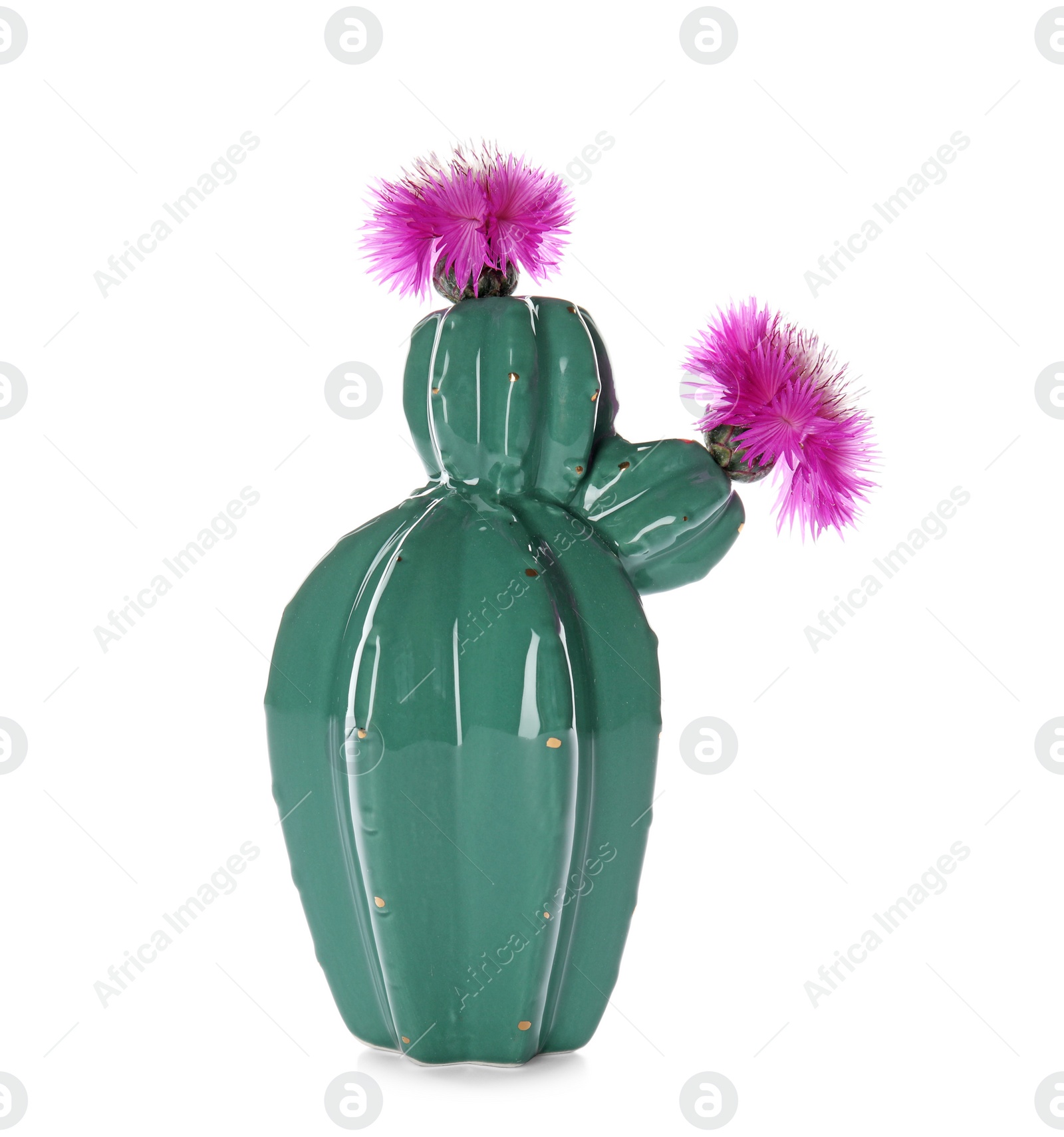 Photo of Trendy cactus shaped ceramic vase with flowers on white background