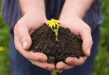 Photo of Man holding pilesoil with flower outdoors, closeup