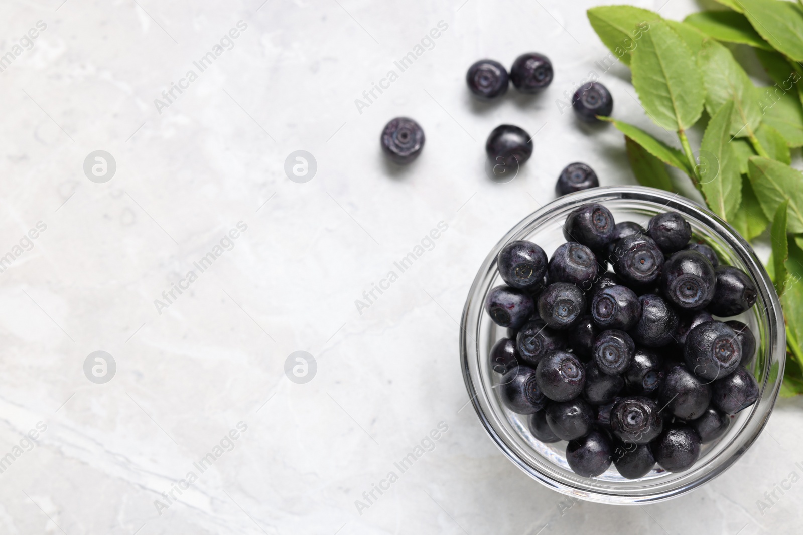 Photo of Ripe bilberries in bowl and sprigs with leaves on light marble table, flat lay. Space for text