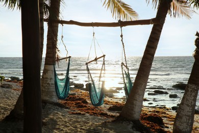 Empty hammocks among palm trees on sandy beach near sea