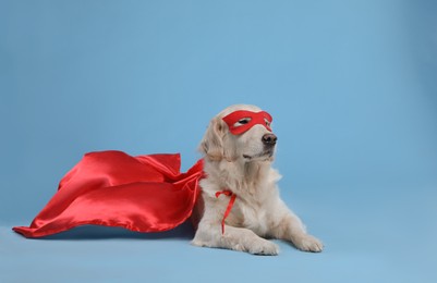 Photo of Adorable dog in red superhero cape and mask on light blue background