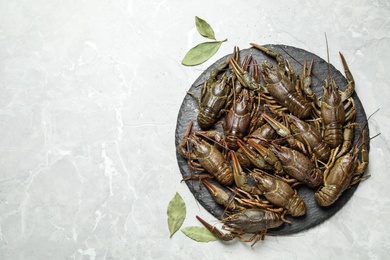 Fresh raw crayfishes and bay leaves on grey marble table, flat lay. Space for text