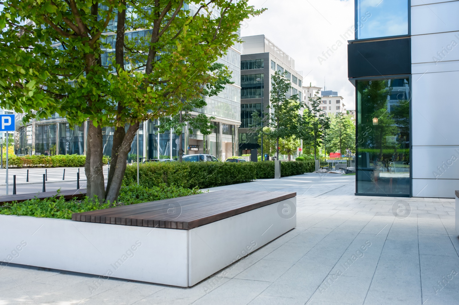 Photo of Beautiful trees and bushes near buildings outdoors