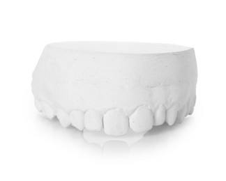 Photo of Dental model with gum isolated on white. Cast of teeth