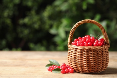 Photo of Ripe fresh cranberry in wicker basket on wooden table. Space for text