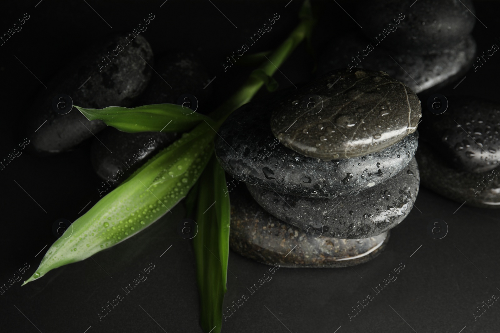 Photo of Stones and bamboo sprout in water on dark background. Zen lifestyle