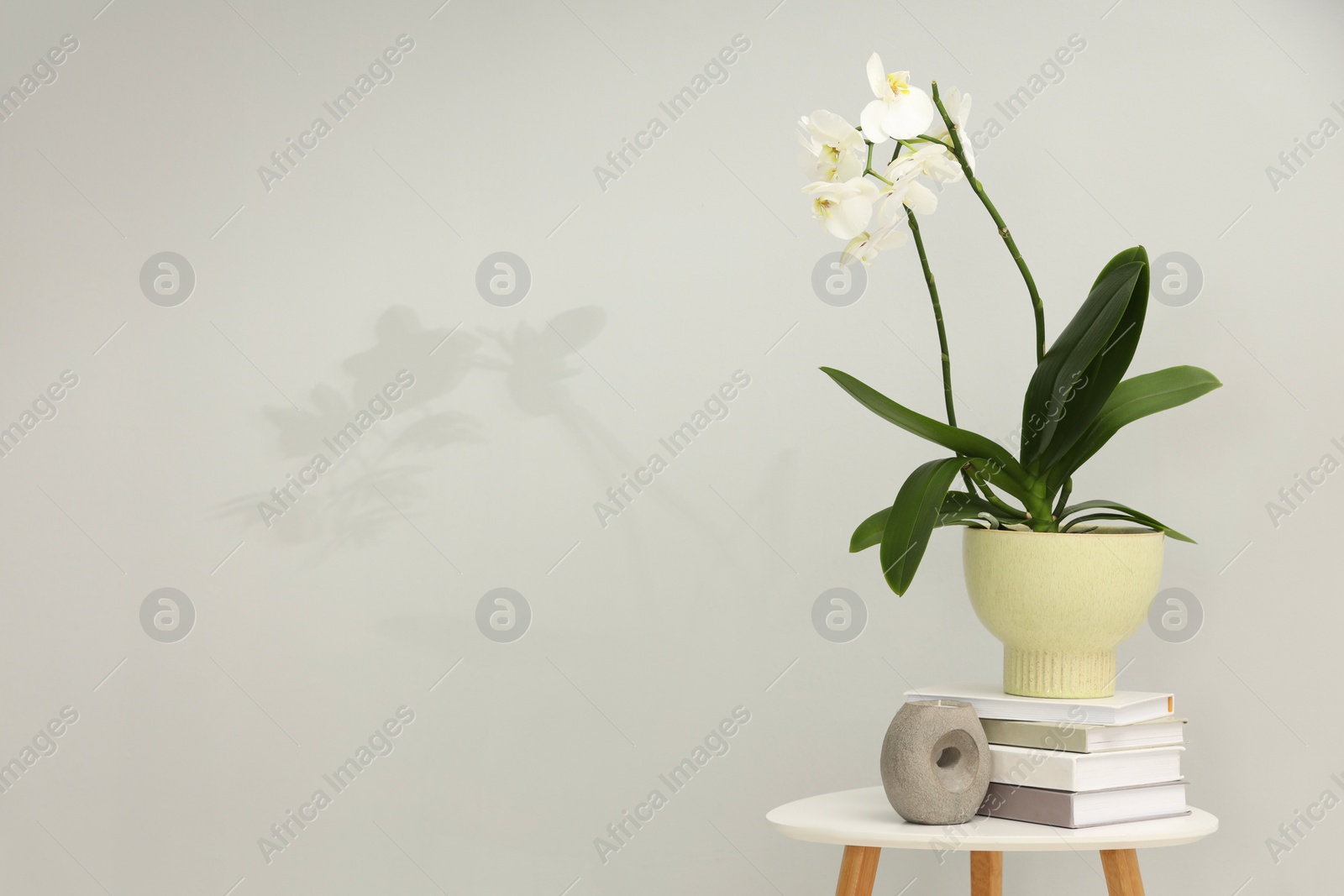 Photo of Blooming white orchid flower in pot, books and candle on side table near grey wall indoors, space for text