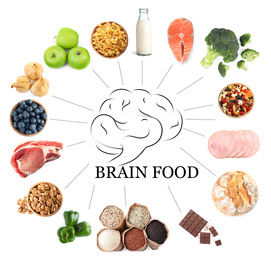 Set with different brain food on white background