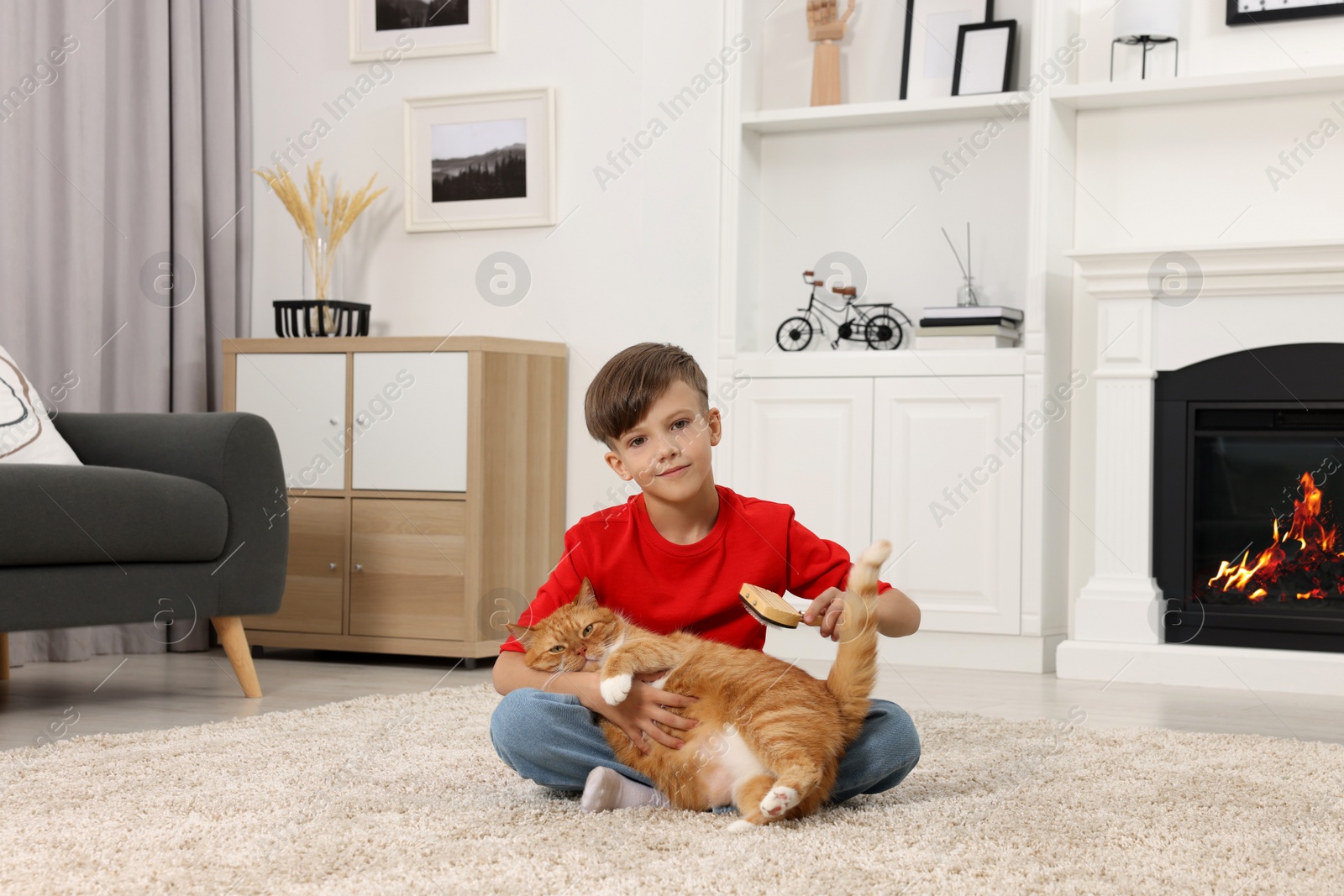 Photo of Little boy brushing cute ginger cat's fur on soft carpet at home