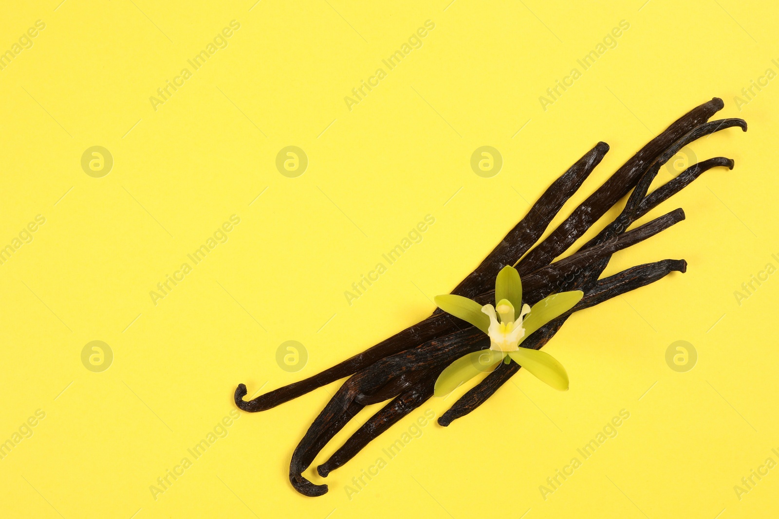 Photo of Vanilla pods and beautiful flower on yellow background, top view. Space for text