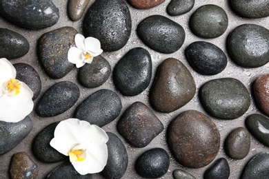 Flat lay composition with spa stones and beautiful flowers on grey background