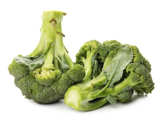 Broccoli on white background. Types of cabbage