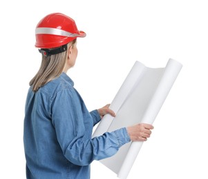 Architect in hard hat with draft on white background