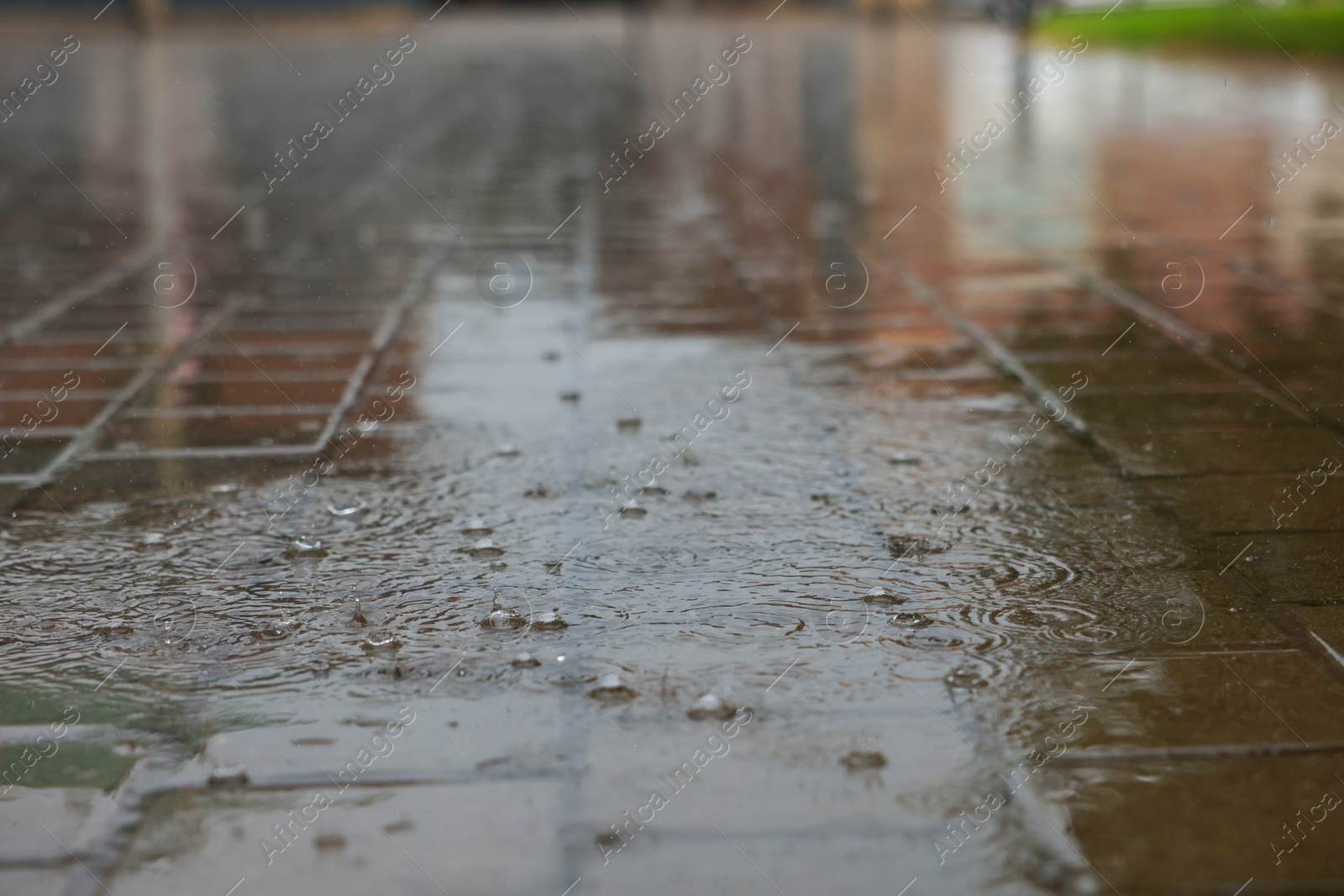Photo of View of city street with puddles on rainy day, closeup
