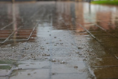 View of city street with puddles on rainy day, closeup