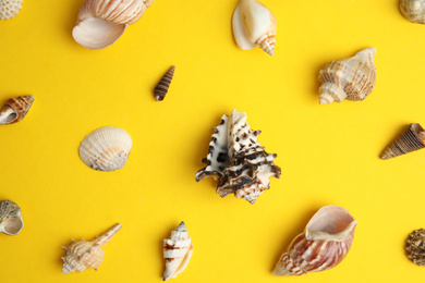 Different beautiful sea shells on yellow background, flat lay