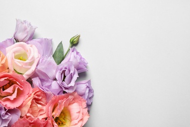 Beautiful Eustoma flowers on white background, top view. Space for text