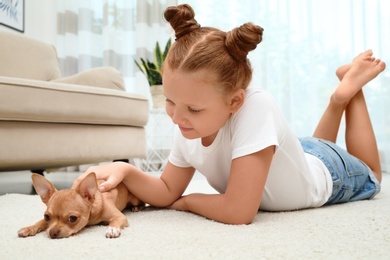 Photo of Cute little child with her Chihuahua dog on floor at home. Adorable pet