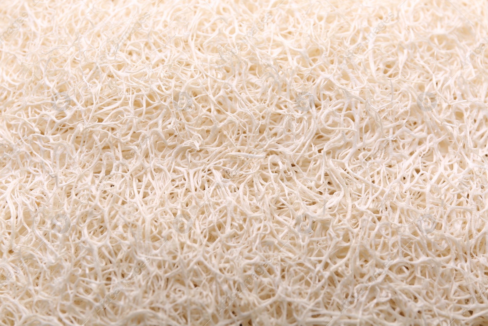 Photo of Loofah sponge as background, closeup. Personal hygiene product