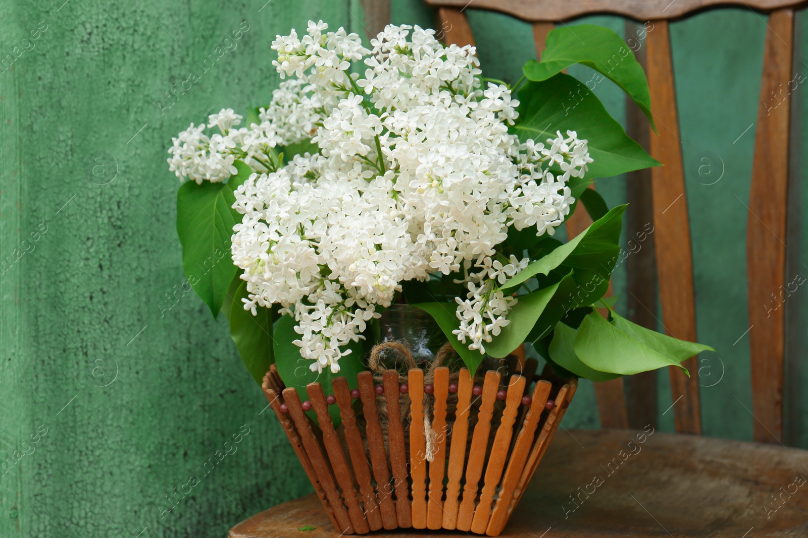 Photo of Beautiful lilac flowers in wooden basket near green wall