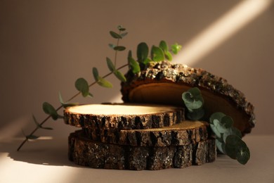 Photo of Presentation for product. Wooden stumps and eucalyptus branches on beige background