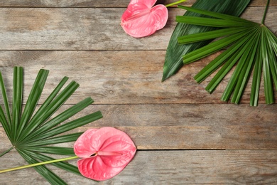 Creative flat lay composition with anthurium flowers and tropical leaves on wooden background