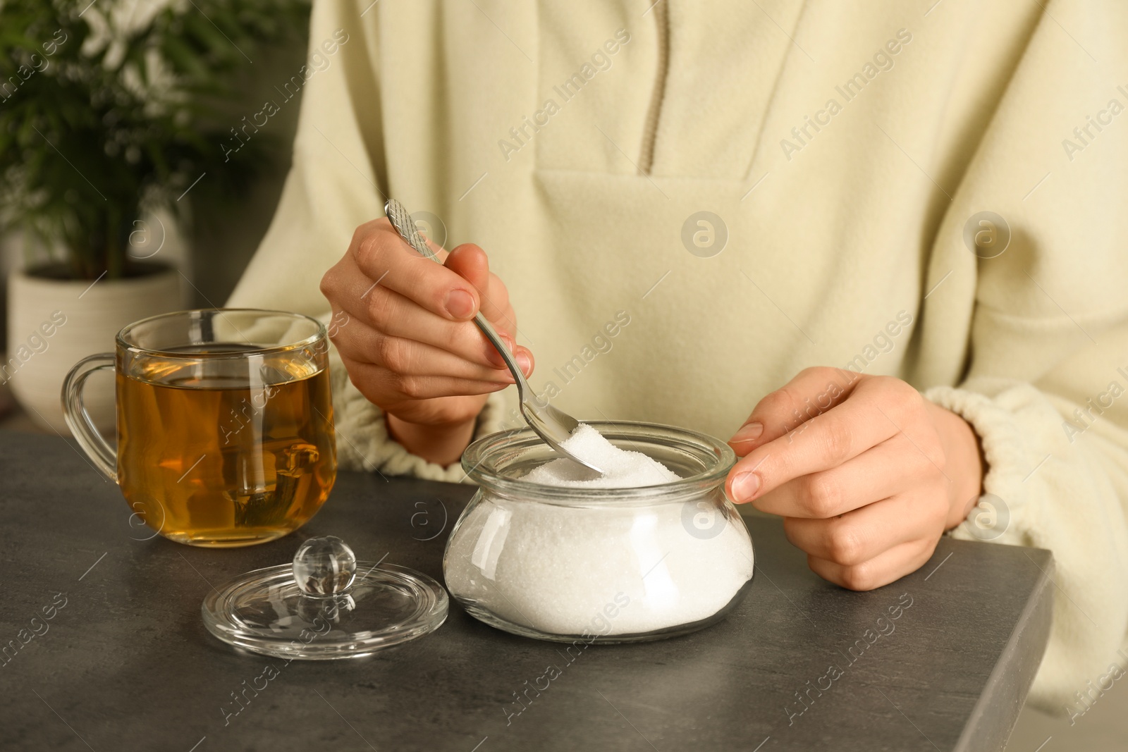 Photo of Woman adding sugar into aromatic tea at grey table indoors, closeup