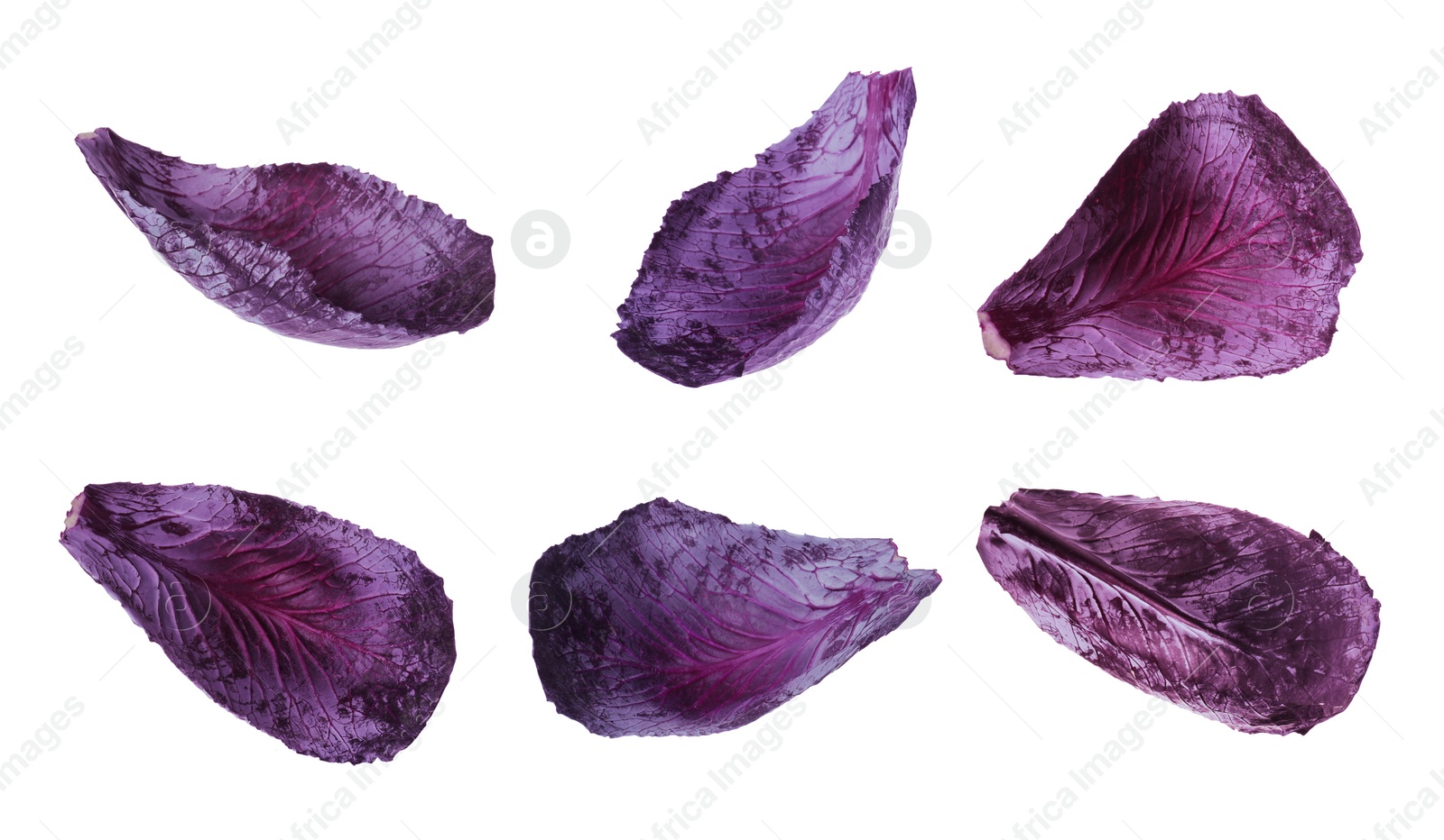 Image of Set of red cabbage leaves isolated on white