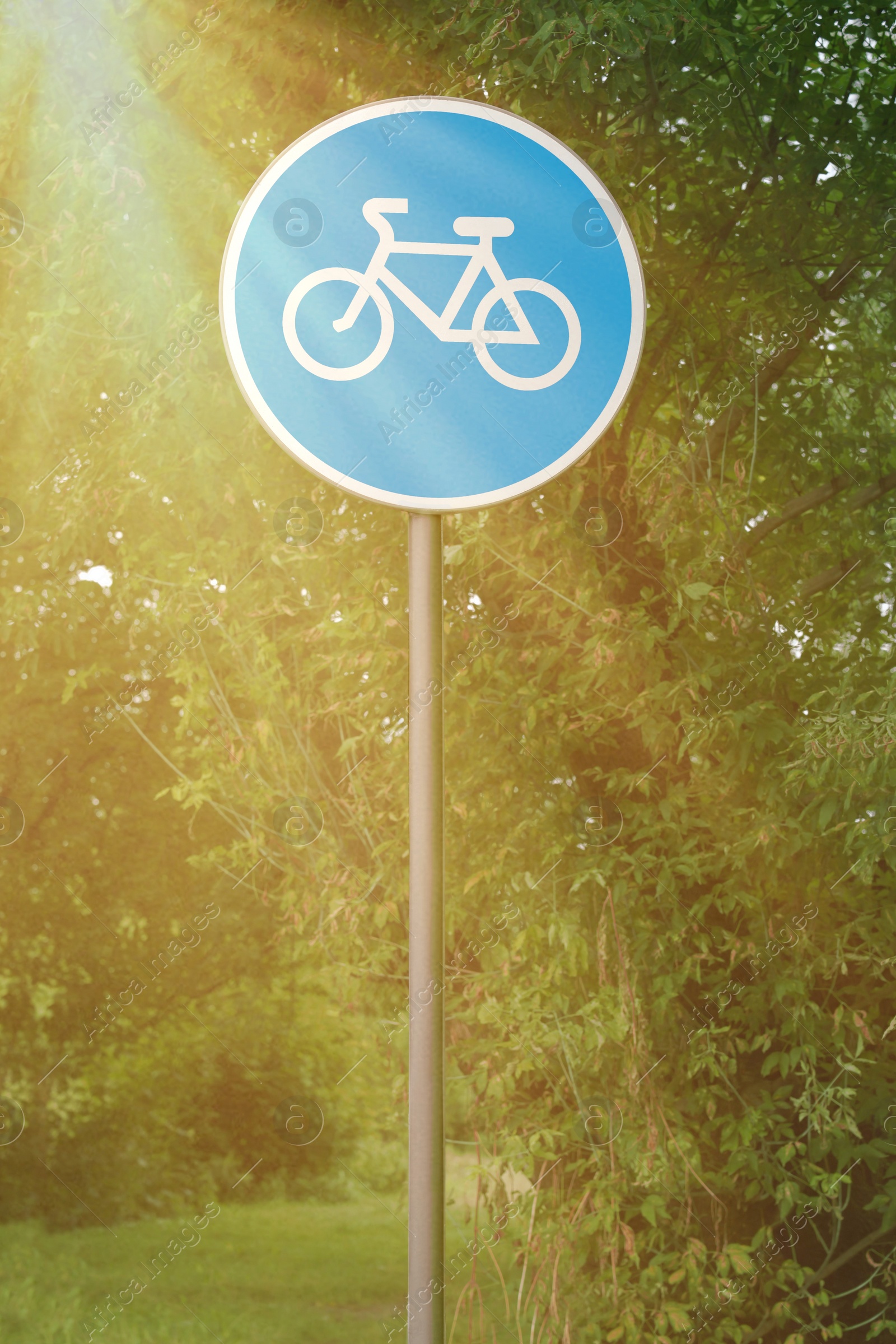 Photo of Traffic sign Bicycles Only near plants in park